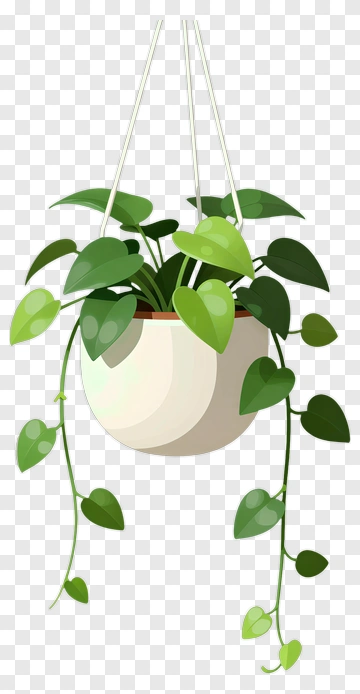 Hanging Green Plant With Heart-Shaped Leaves PNG