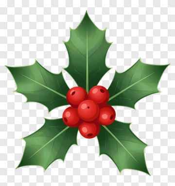 Holly With Berries PNG