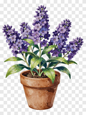 Purple Flower In Terracotta Pot PNG