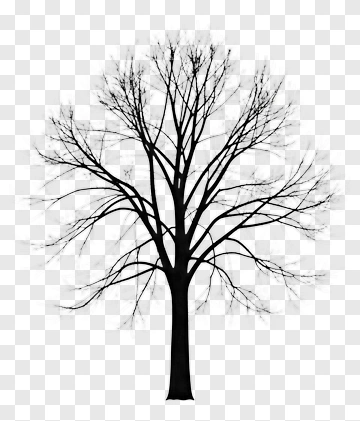 Tree Silhouette PNG
