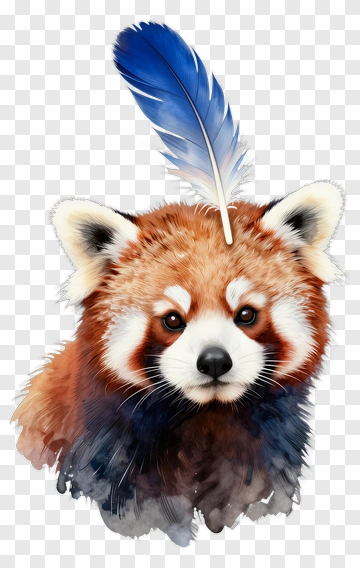 Red Panda With Blue Feather PNG