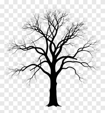 Tree Silhouette PNG