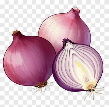 Purple Onion Illustration PNG