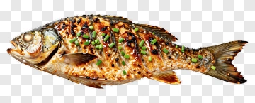 Grilled Fish With Chopped Green Onions PNG