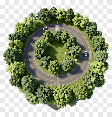 Circular Road Surrounded By Trees PNG