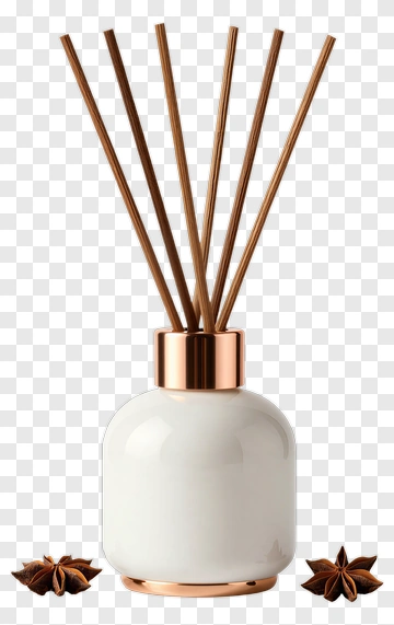 Modern Diffuser With Star Anise PNG
