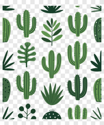Cactus And Plant Pattern PNG