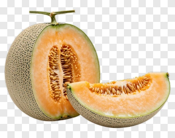 Fresh Cantaloupe Melon Sliced Open PNG