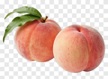 Two Fresh Peaches With Leaf PNG