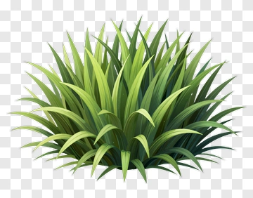 Green Grass Cluster PNG