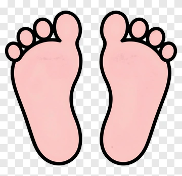 Baby Feet Illustration PNG