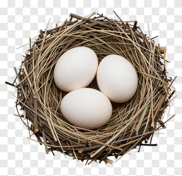 Three Eggs In A Nest PNG