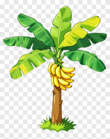 Banana Tree With Fruit Bunch PNG