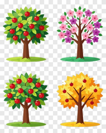 Four Seasons Trees With Fruit And Flowers PNG