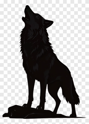 Black Wolf Howling PNG