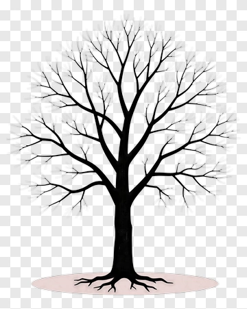 Bare Tree Silhouette PNG