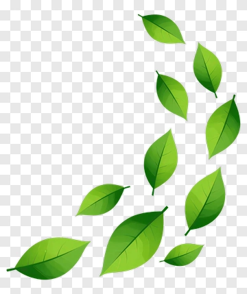 Green Leaves Falling PNG