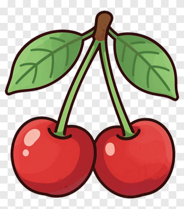 Sweet Cherry With Leaf PNG