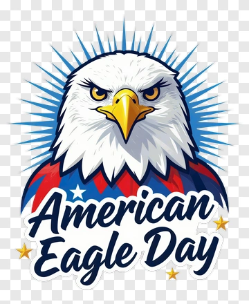 American Eagle Day Eagle Illustration PNG