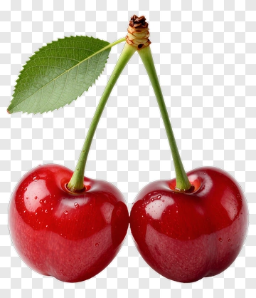 Two Cherries With Leaf And Stem PNG