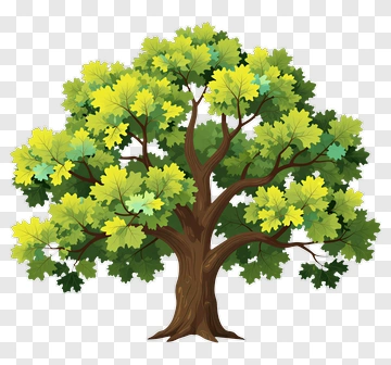 Leafy Oak Tree PNG