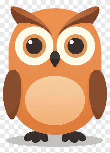 Cute Cartoon Owl PNG