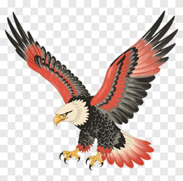 Bald Eagle Soaring With Red And Black Wings PNG