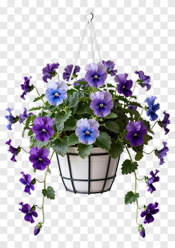 Purple Pansies In Hanging Planter PNG