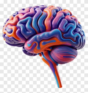 Colorful Brain Model PNG