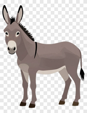 Donkey PNG