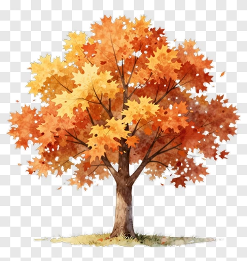Autumn Tree With Falling Leaves PNG