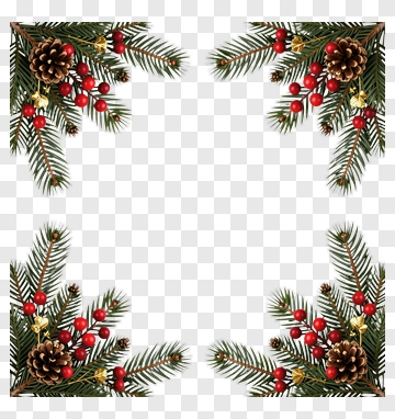 Festive Pine Branches With Pinecones And Berries PNG