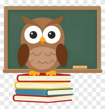 Owl Teacher With Books PNG