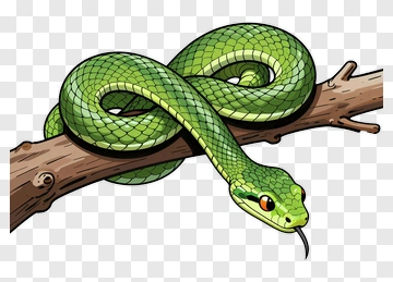 Green Snake On Branch PNG