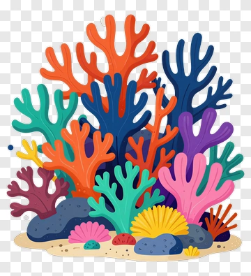 Colorful Coral And Seashells PNG