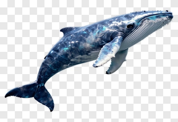 Blue Whale In Motion PNG