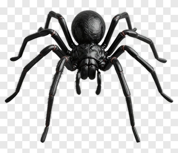 Black Spider PNG