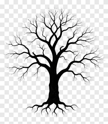 Silhouette Of A Tree PNG