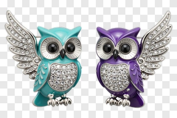 Two Colorful Owl Brooches With Crystal Details PNG