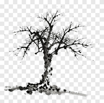 Black And White Ink Tree PNG