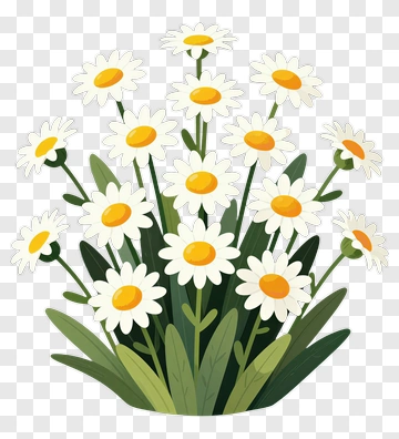 Daisy Flower Bouquet PNG