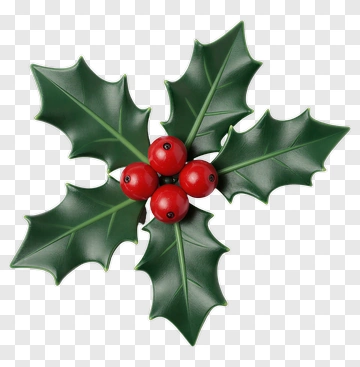 Holly With Berries PNG