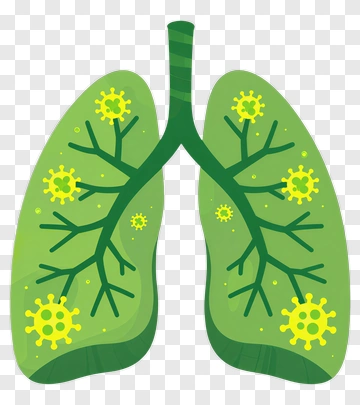 Green Lungs Infected With Yellow Viruses PNG