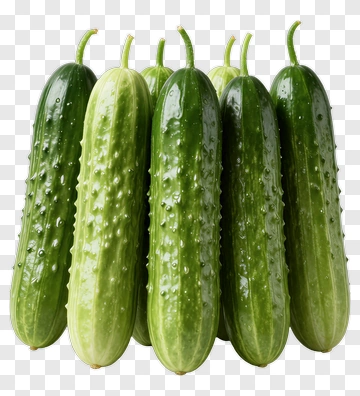 Fresh Cucumbers In A Cluster PNG