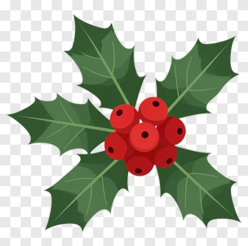 Holly With Red Berries PNG