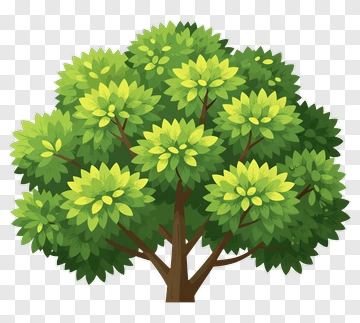 Cartoon Tree With Green Leaves PNG