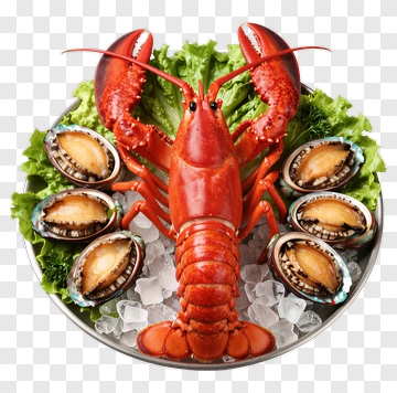 Fresh Lobster With Abalone And Ice PNG