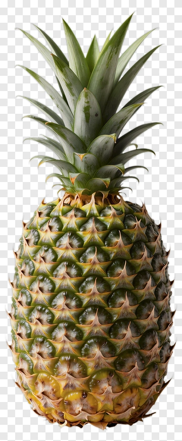Fresh Pineapple PNG