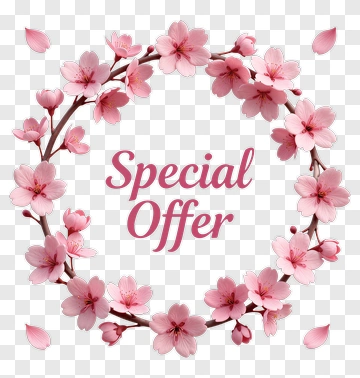 Cherry Blossom Special Offer Banner PNG
