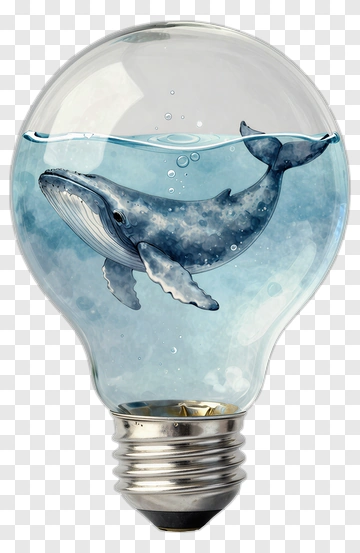 Whale In Light Bulb PNG
